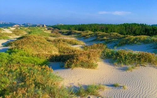 这份15年的妄想明确提出，2035年沙化土地治理完成1380万公顷